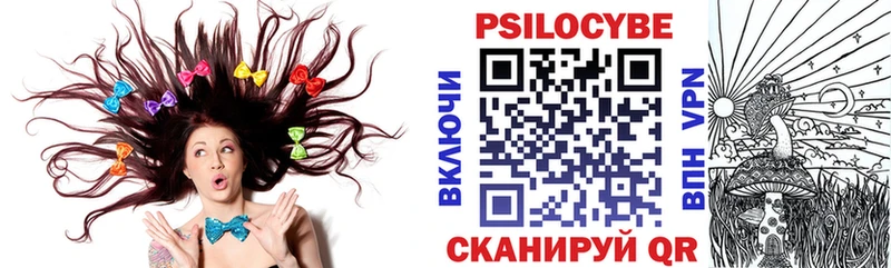 KRAKEN зеркало  Кириллов  Галлюциногенные грибы ЛСД 