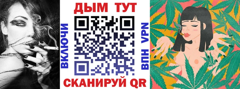 цены   Кириллов  Шишки марихуана семена 